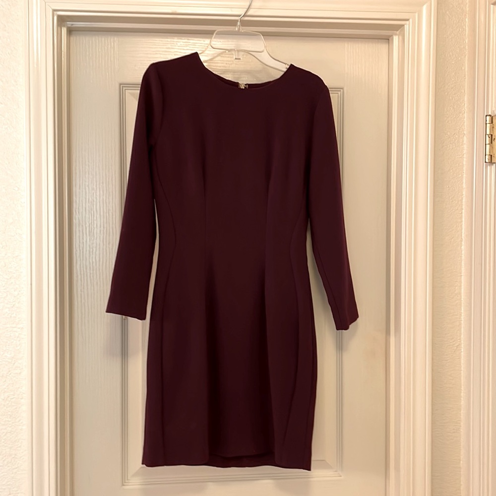 Forever21 Junior Burgundy Dress